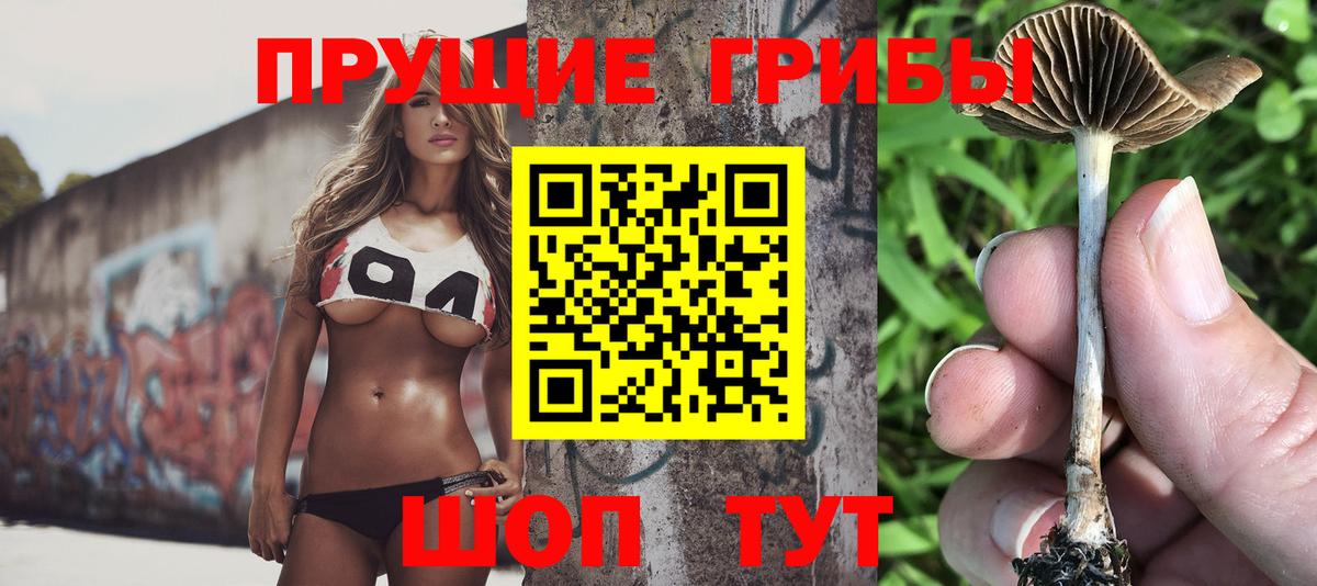 Галлюциногенные грибы Cubensis Берёзовский